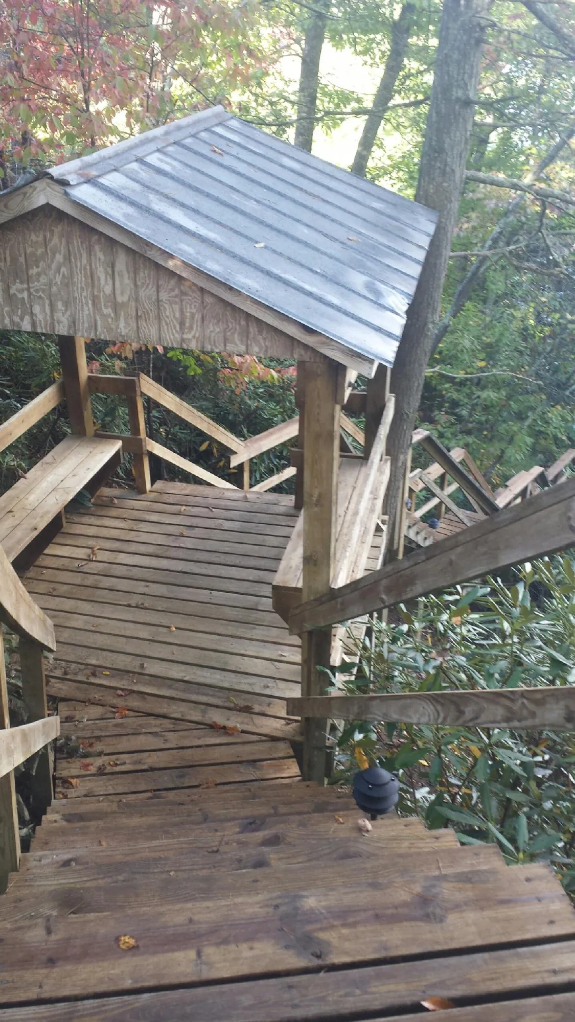 Metal roofed shelter over wooden steps on a wooded walkway — Skylight Repair & Installation work by our crew in Bonaire