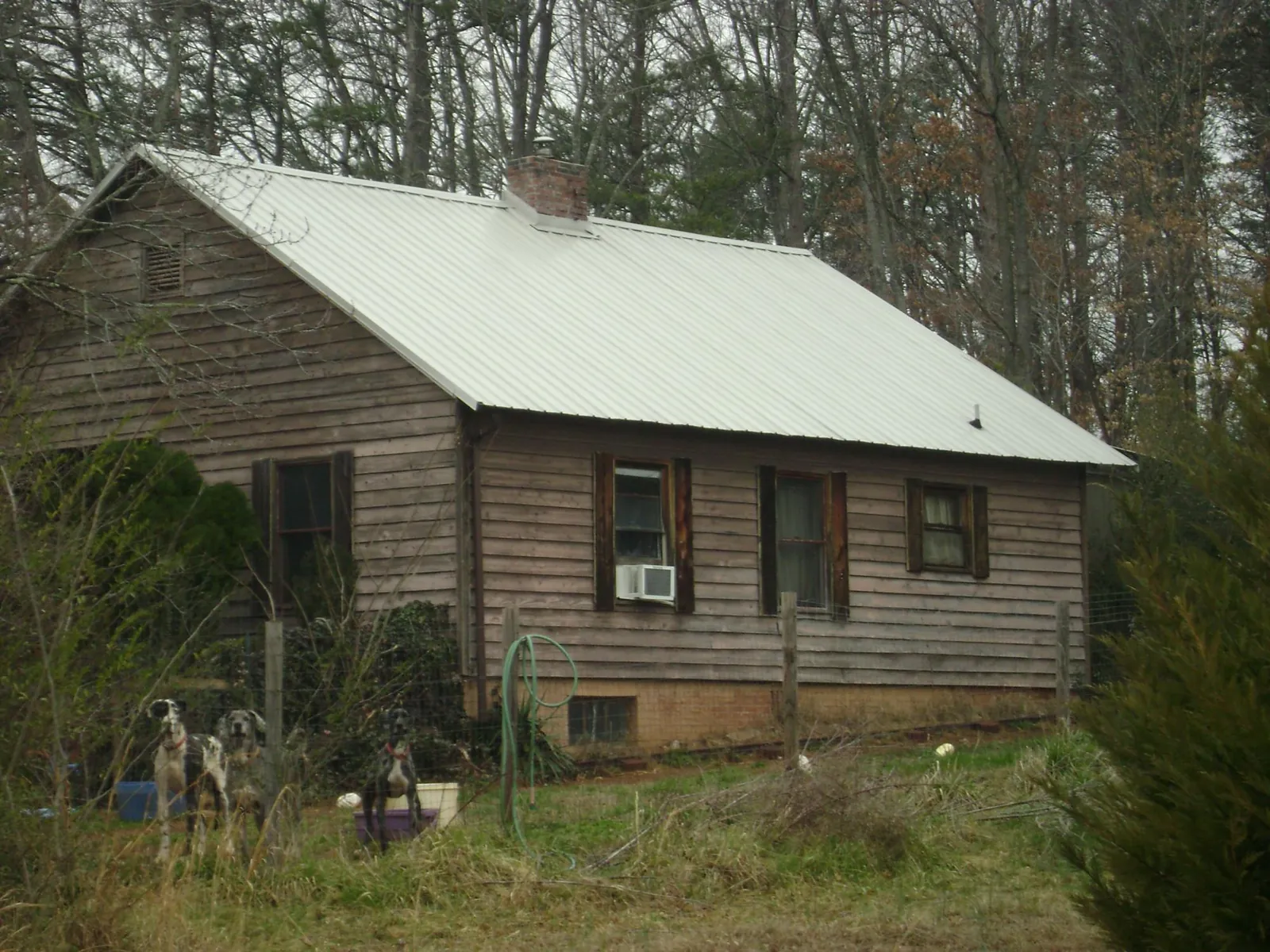 White metal roof on an old wood sided farmhouse, from a Asphalt Shingle Roof Repair job in Bonaire